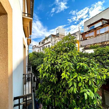 San Fernando De La Ribera Córdoba Exterior foto