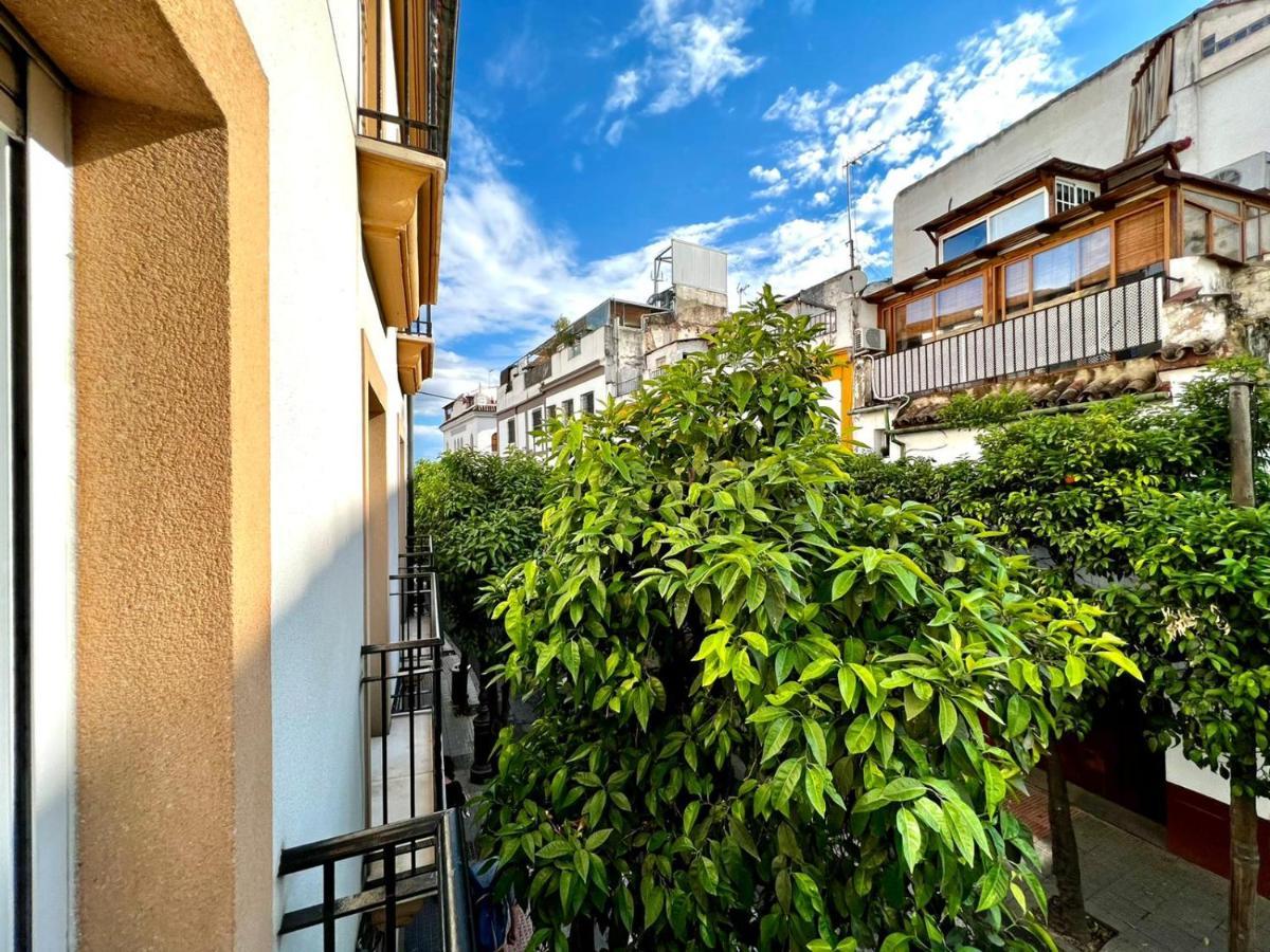 San Fernando De La Ribera Córdoba Exterior foto